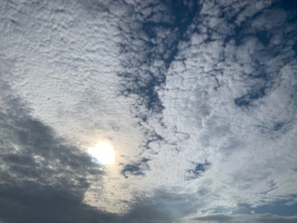 日常：うろこ雲・さば雲・いわし雲・羊雲　秋の雲色々