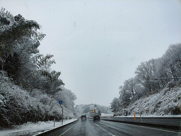 途中雪が降り出しました。初雪です。