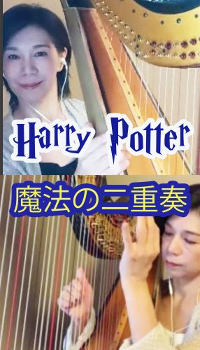 先週投稿した30秒シリーズ（ハープ動画）はこちら。